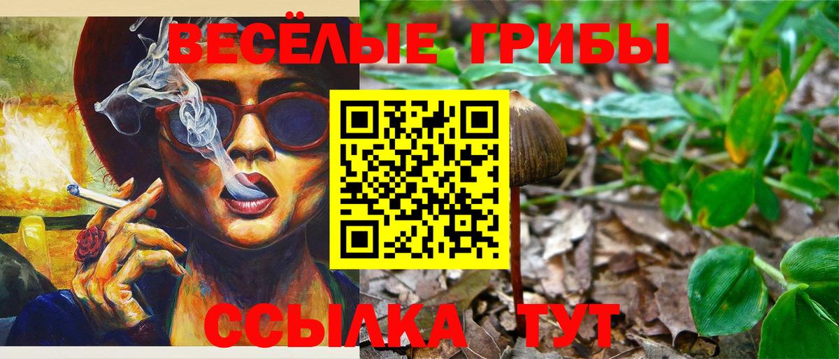 что такое   Вход с VPN  Урус-Мартан  Псилоцибиновые грибы Psilocybe  Псилоцибиновые грибы прущие грибы 