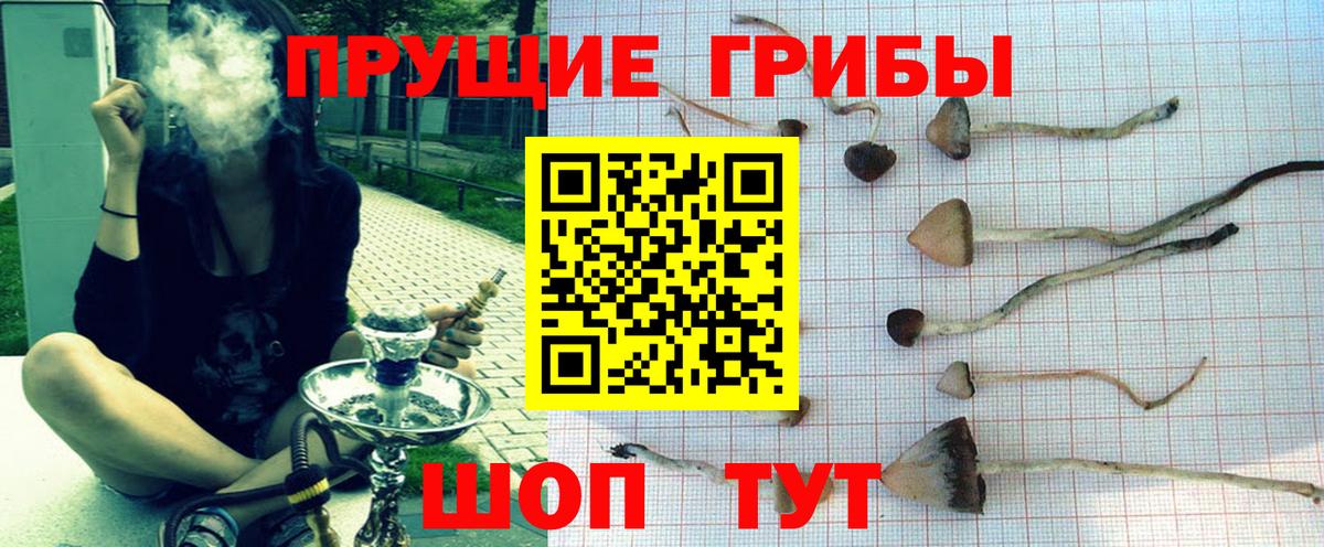 Псилоцибиновые грибы GOLDEN TEACHER Урус-Мартан